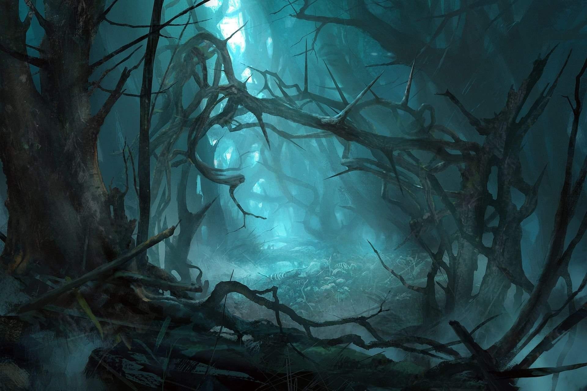 Волшебный мрачный лес - 73 фото