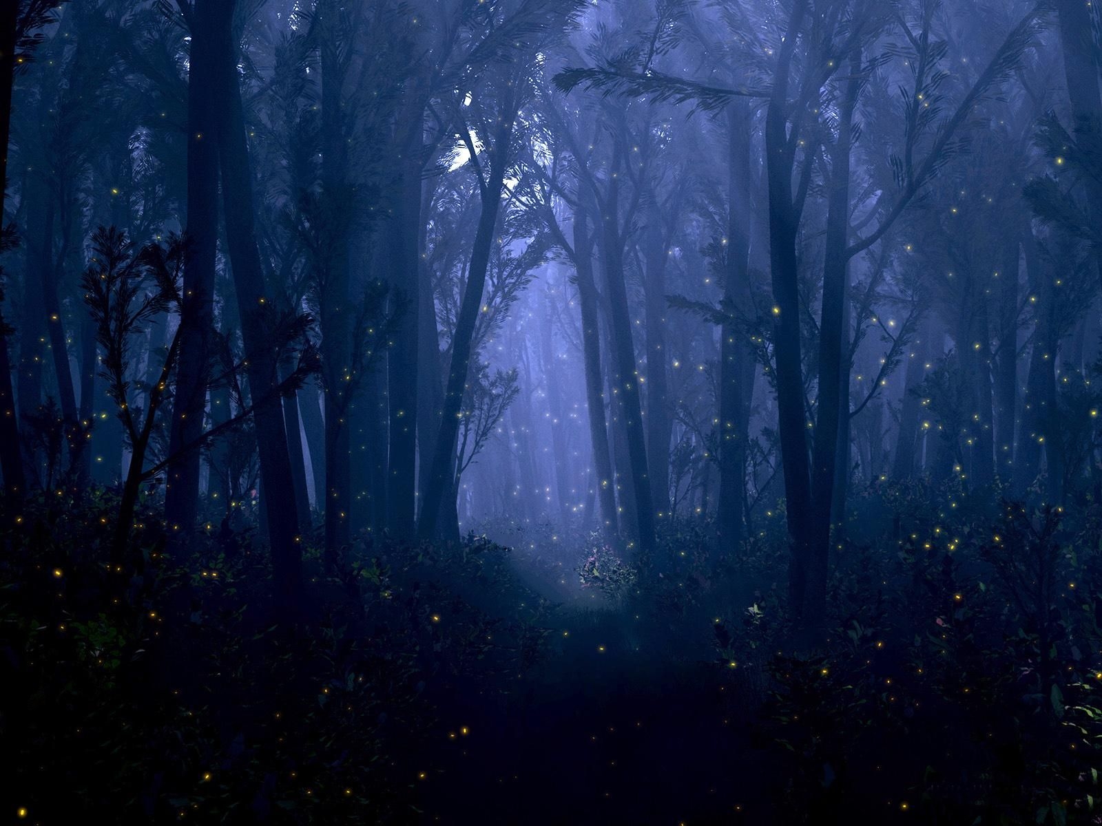 Волшебный мрачный лес - 73 фото