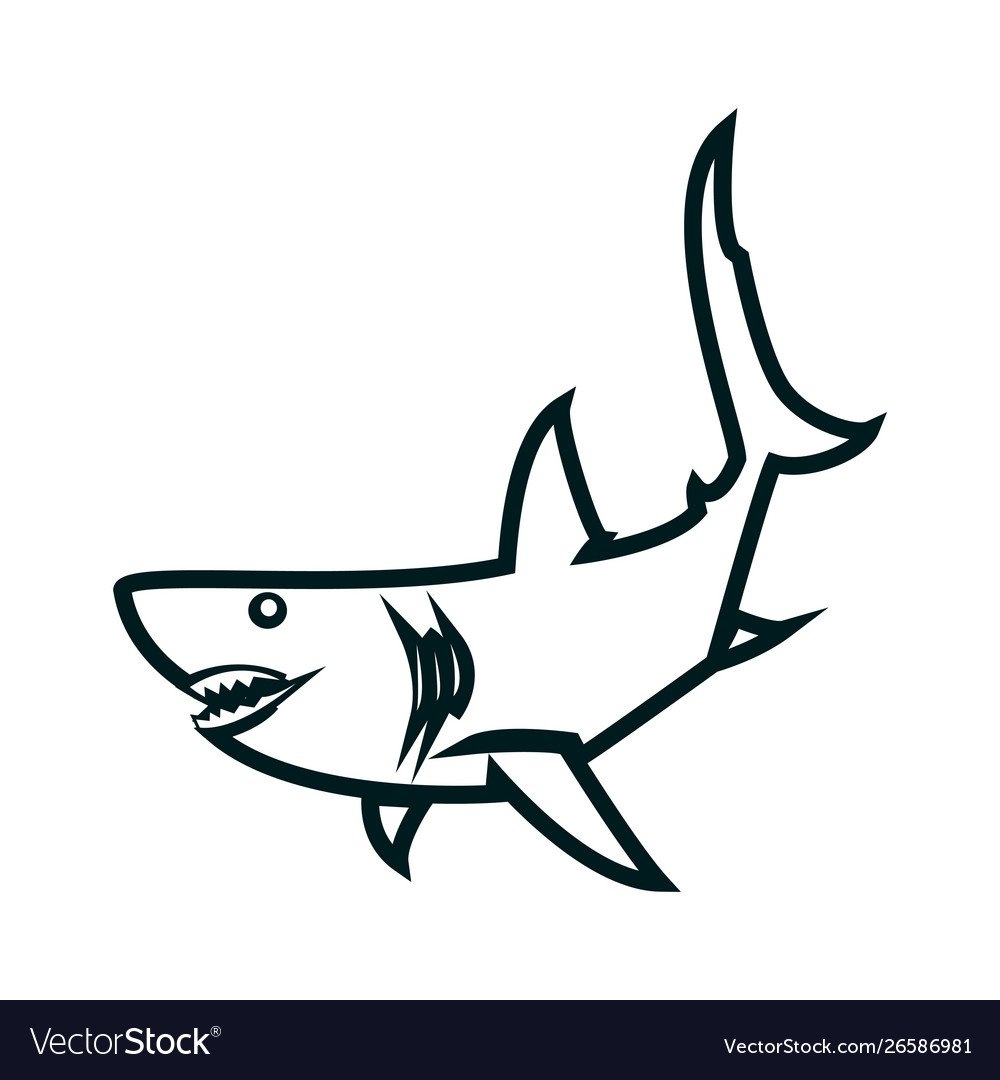 Картинка акулы. Раскраска для ребенка