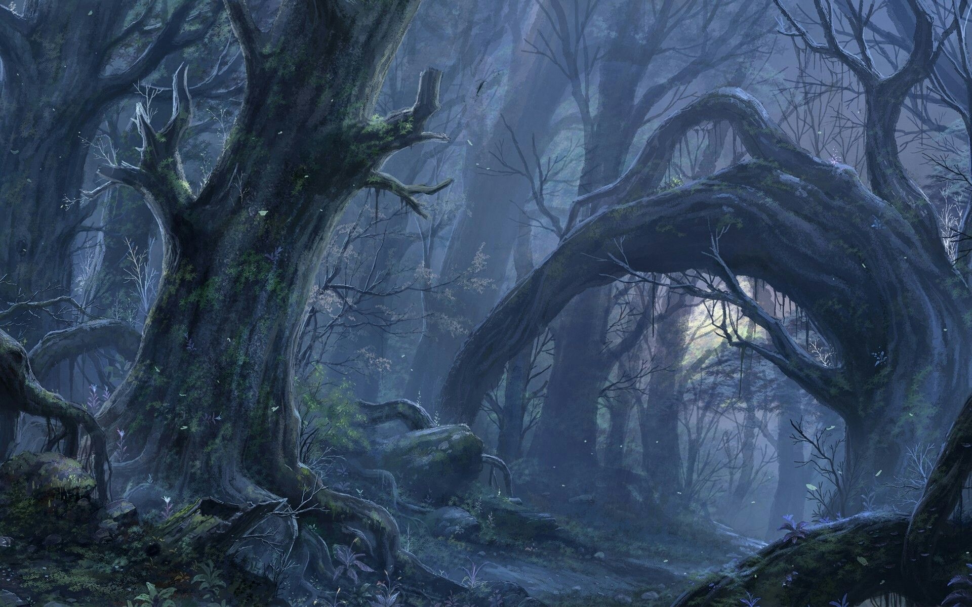 Таинственный темный лес - 72 фото