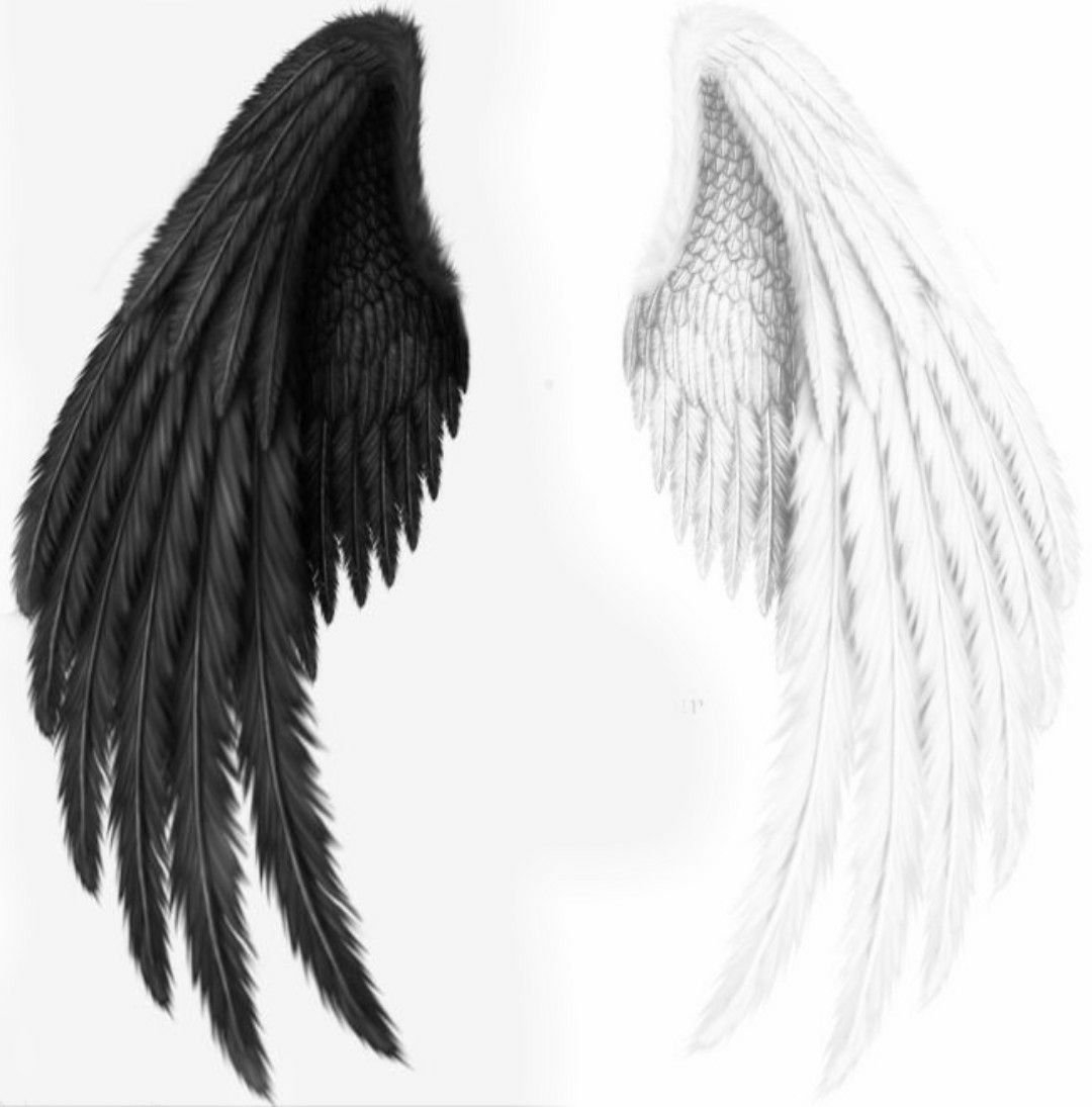 Друзей крыльев без что. Ангел с крыльями. Черные Крылья. Крылья ангела и демона.