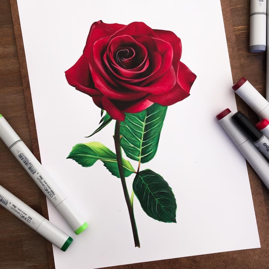 розы рисунок маркерами