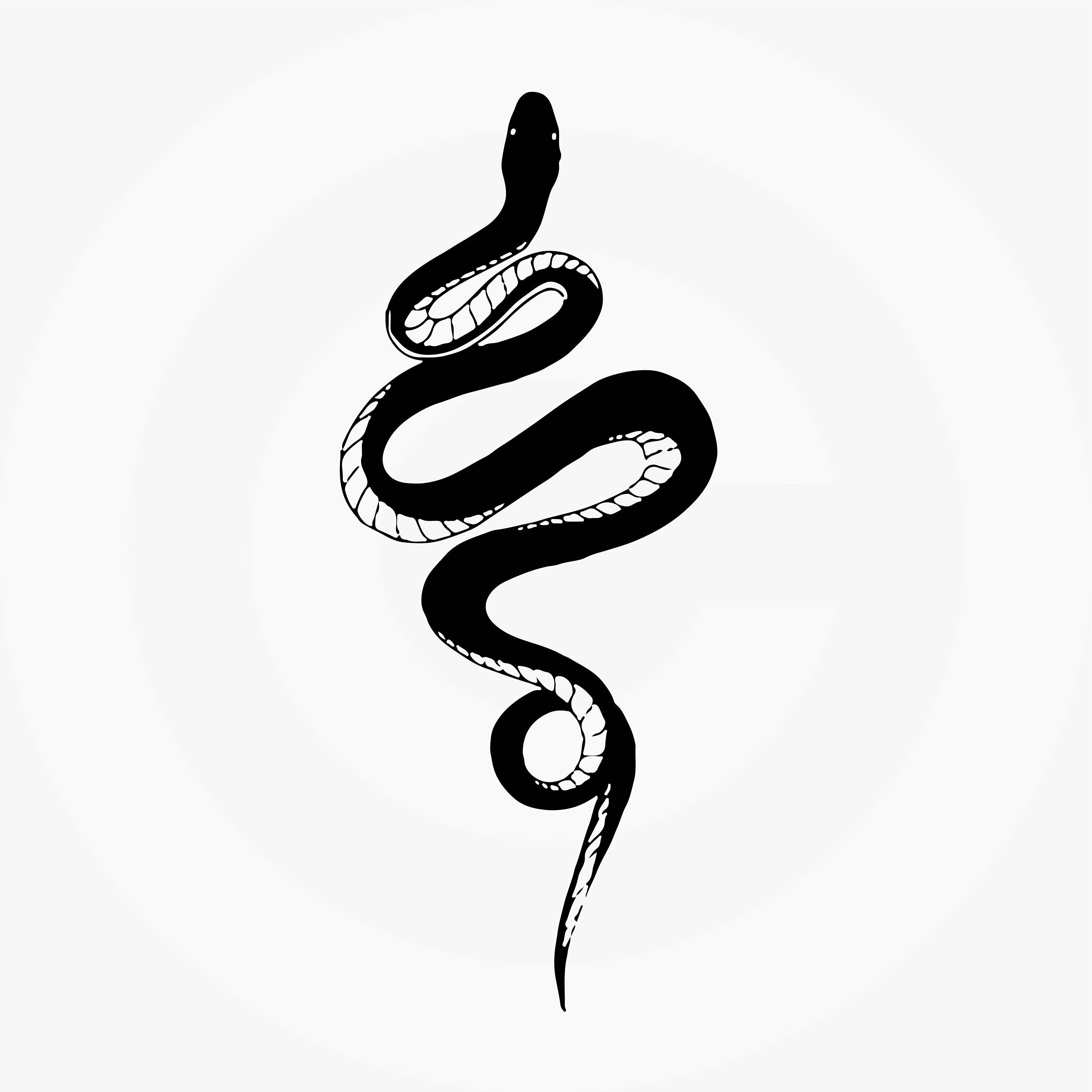 змея минимализм