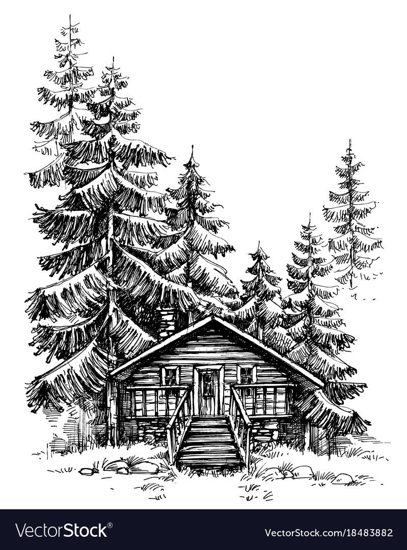 Еловый домик в лесу - 73 фото
