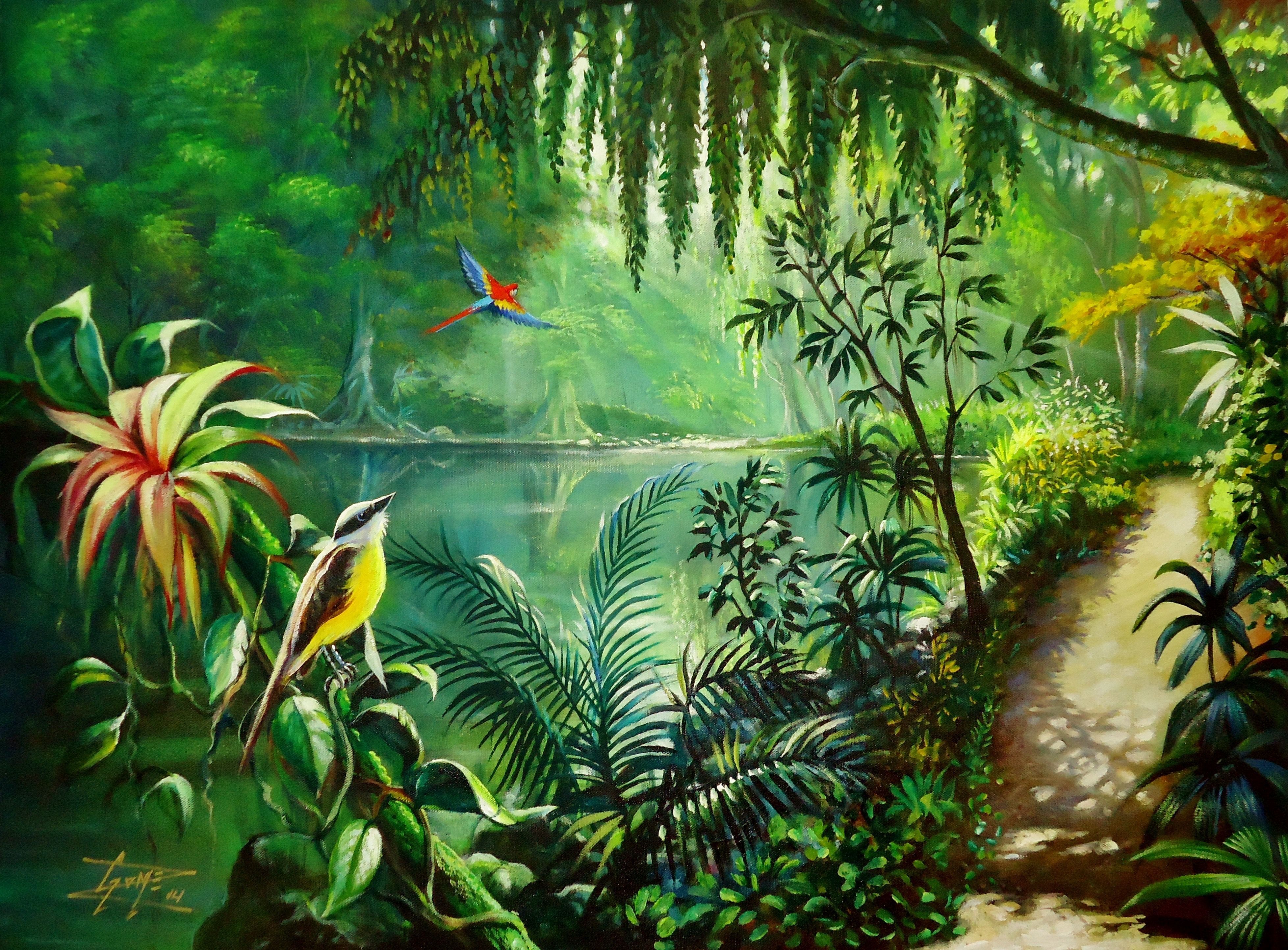Тропический лес: подборка картинок