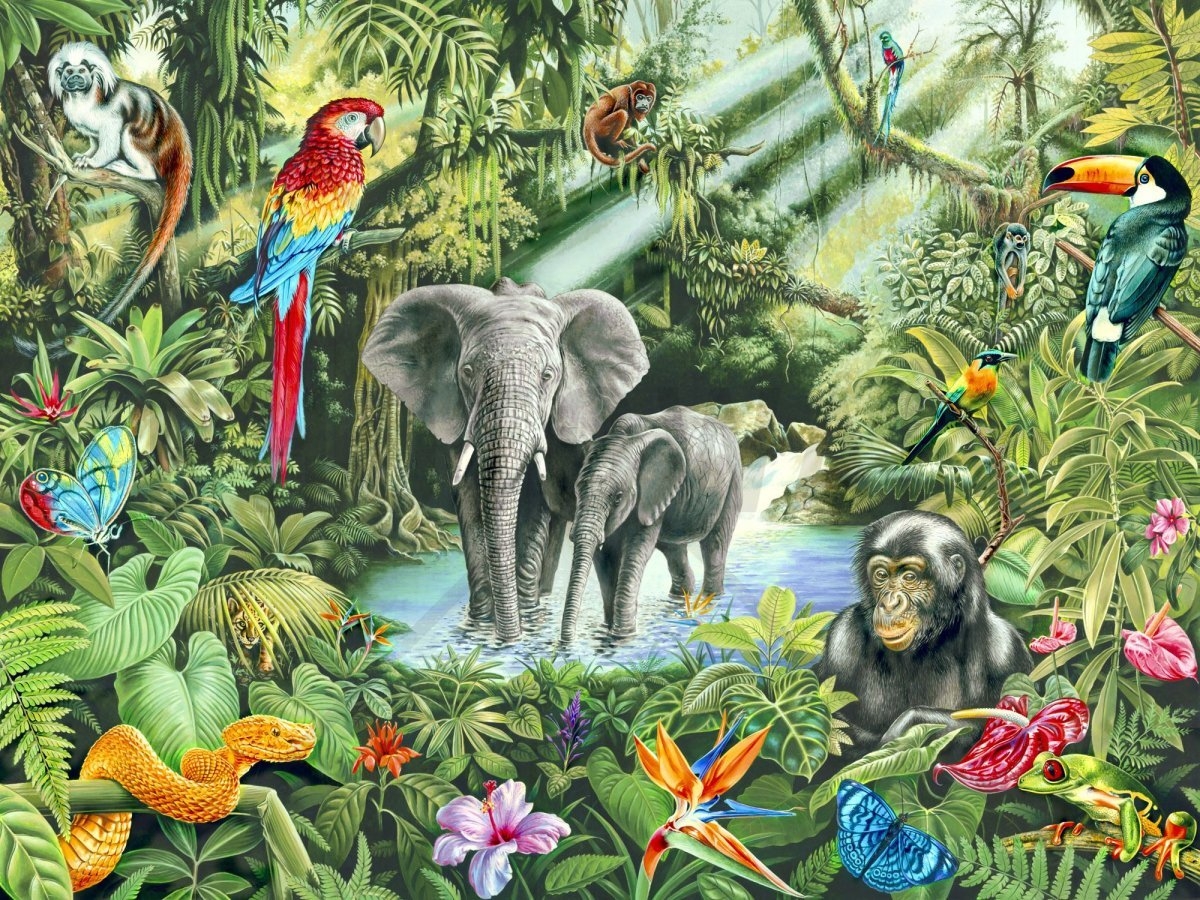 тропические животные список