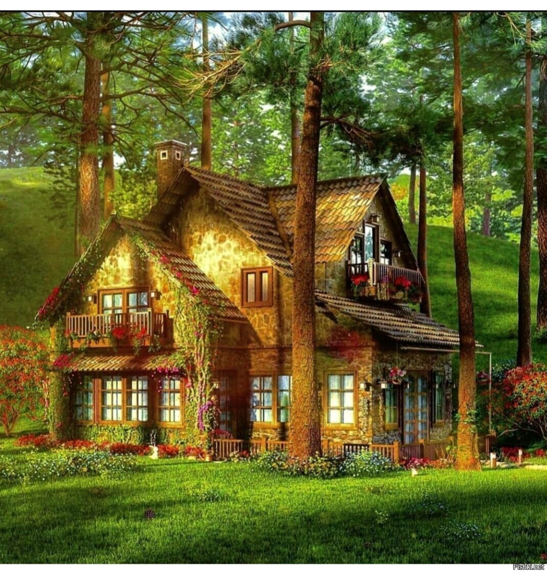 Самые красивые дома в лесу - 73 фото