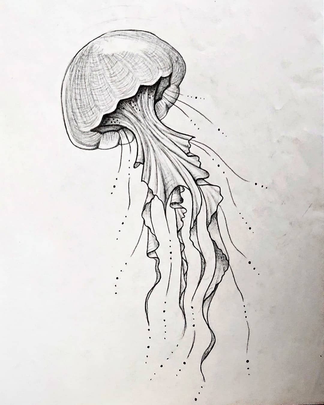 рисунок карандашом медуза