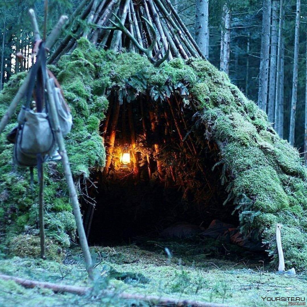 Дом шалаш в лесу (68 фото)