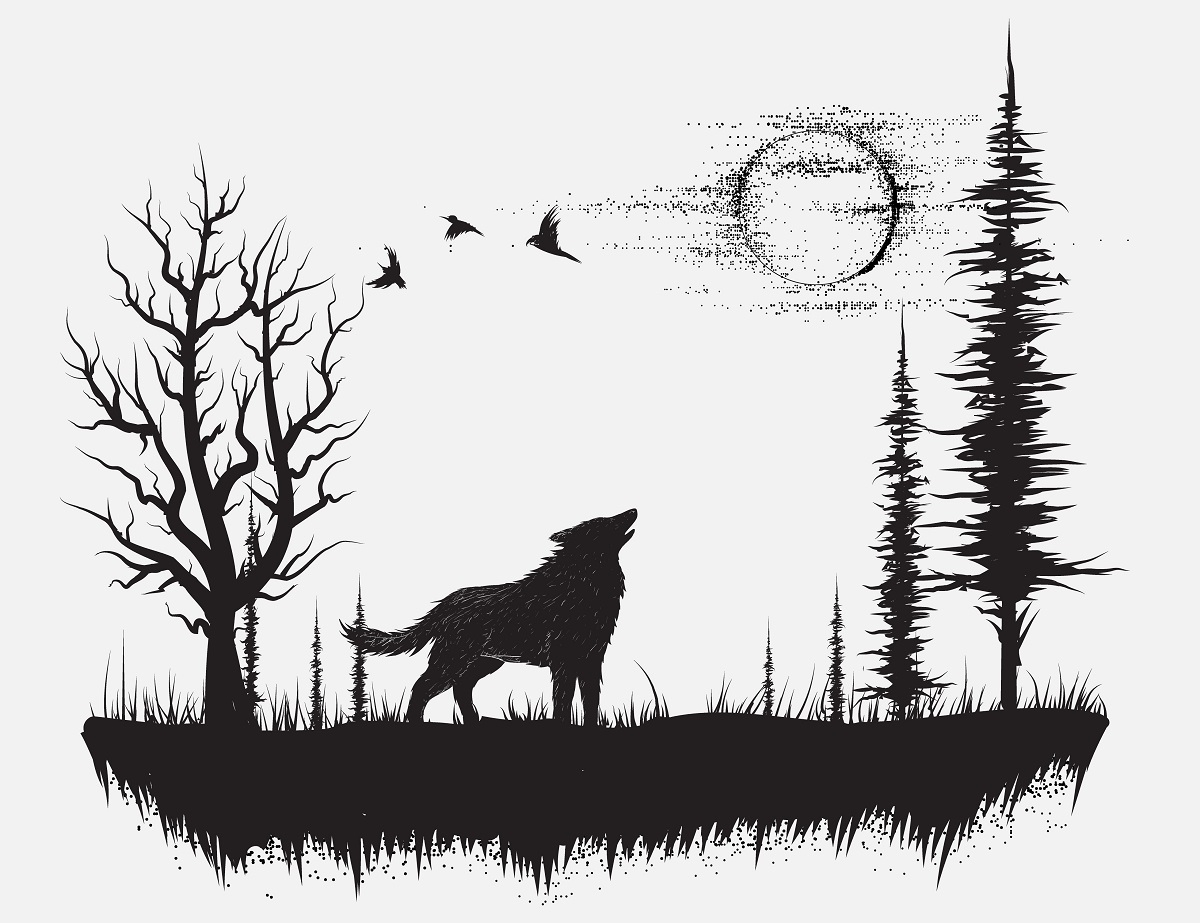Волк лес эскиз - 59 фото