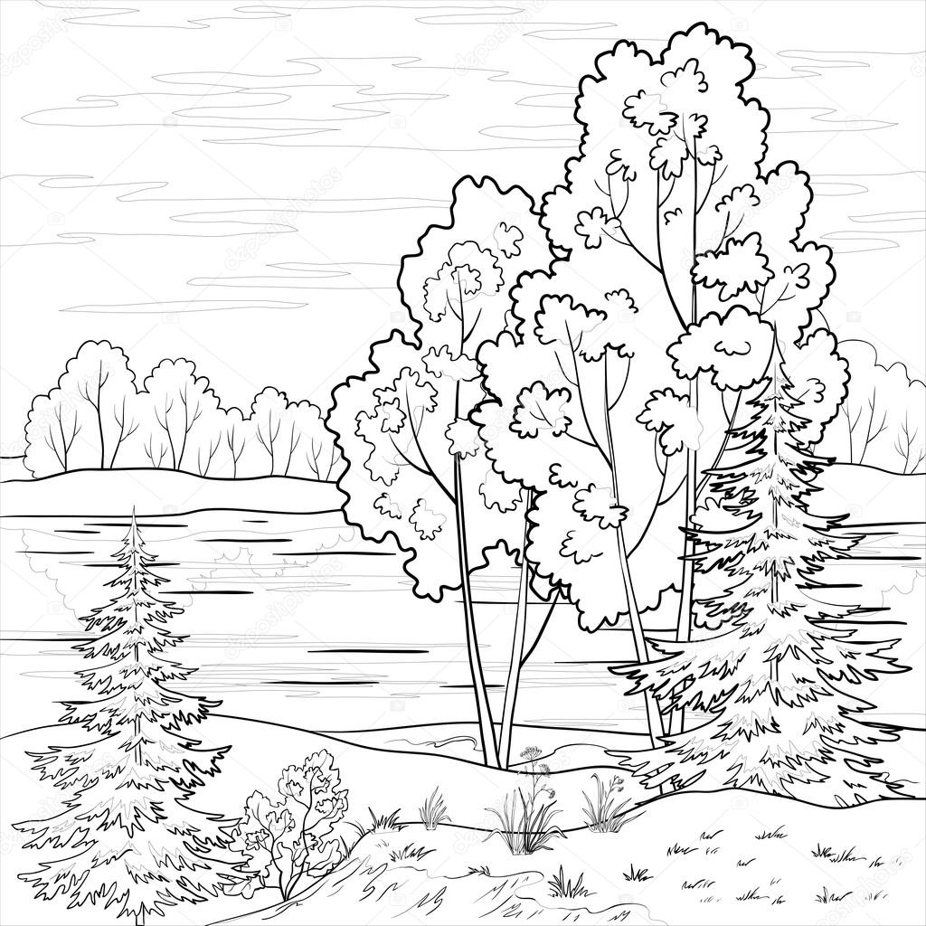Смешанный лес рисунок (46 фото) » Рисунки для срисовки и не только