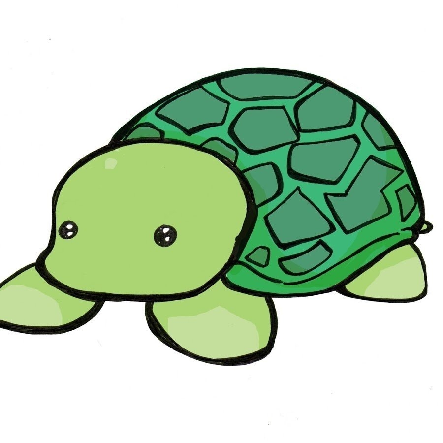 Рисунок Черепахи