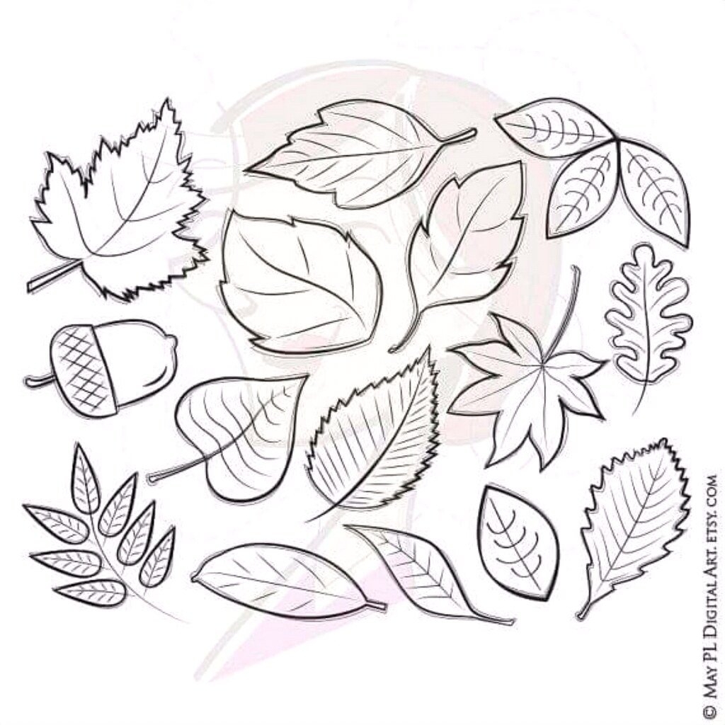 Изображения по запросу Раскраска осенние листья