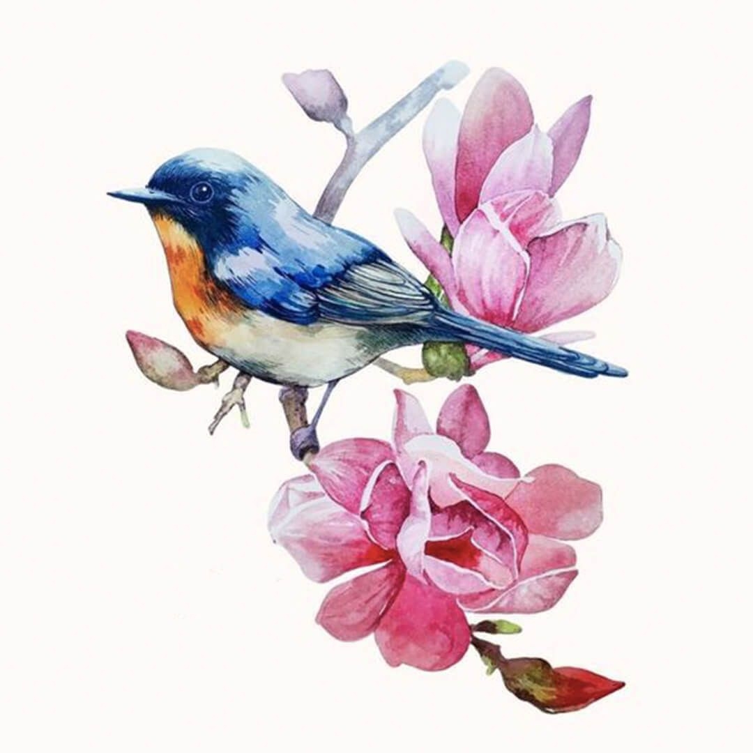 Рисование цветы и птицы. Акварельные птицы. Птица рисунок. Цветы птицы акварелью. Акварель с цветами и птицами.
