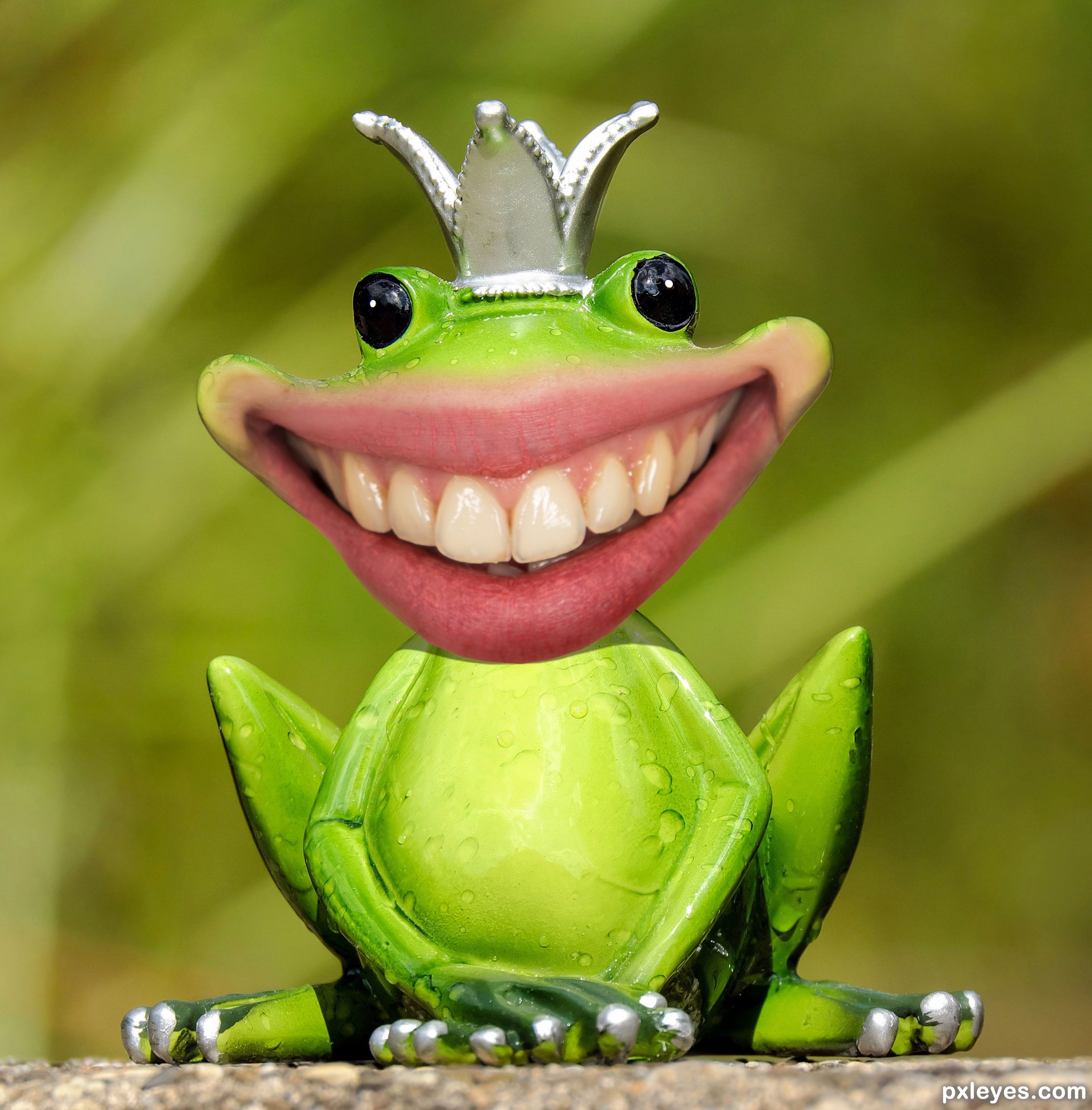 Смешные лягушки картинки. Лягушка улыбается. Смешные лягушки. Прикольный Лягушонок. Улыбка лягушки.
