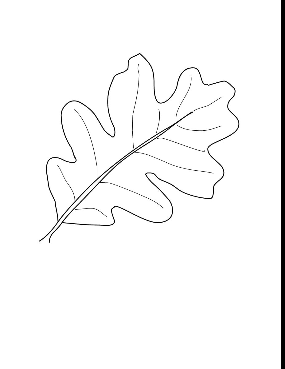 Раскраски дуба, Раскраска лист дуба Дубовый лист Контуры листьев.