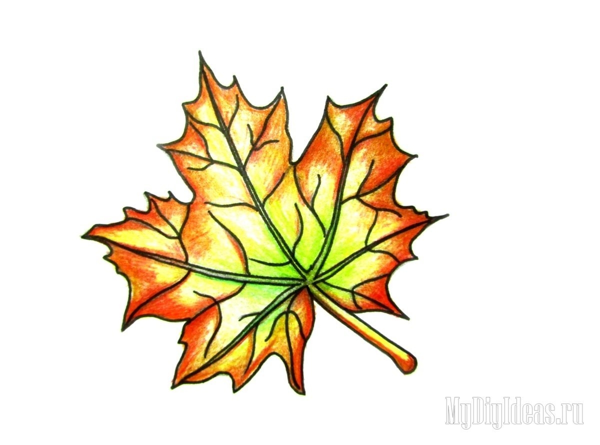 Осенний кленовый листок - 51 фото