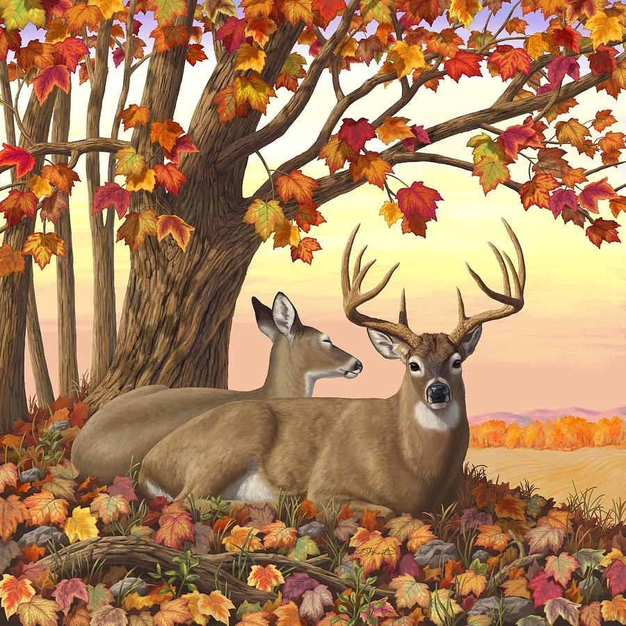 Осенняя природа с животными - 63 фото