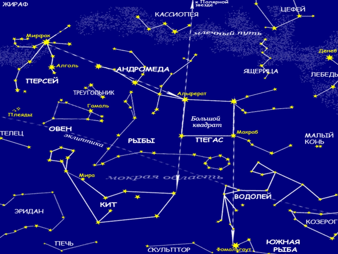 Какие звезды встречаются. Созвездия осеннего неба Северного полушария. Карта созвездий для детей расположение на небе. Звездная карта зодиакальных созвездий. Расположение зодиакальных созвездий на карте неба.