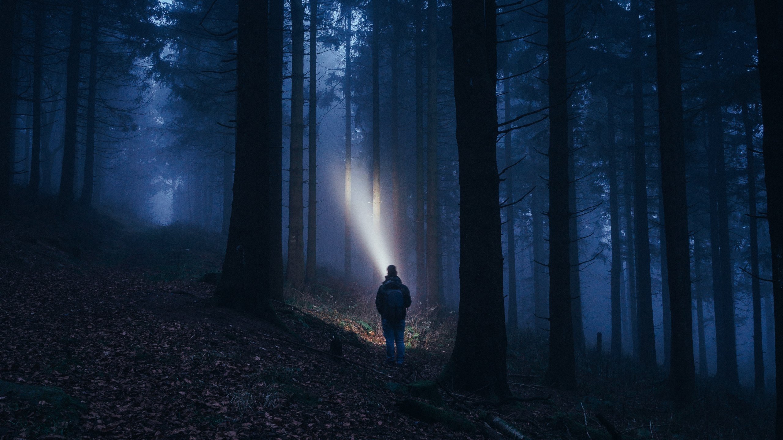 Наугад в темноту. «Ночь в лесу». Ночной лес. Человек в ночном лесу. Лес в тумане.