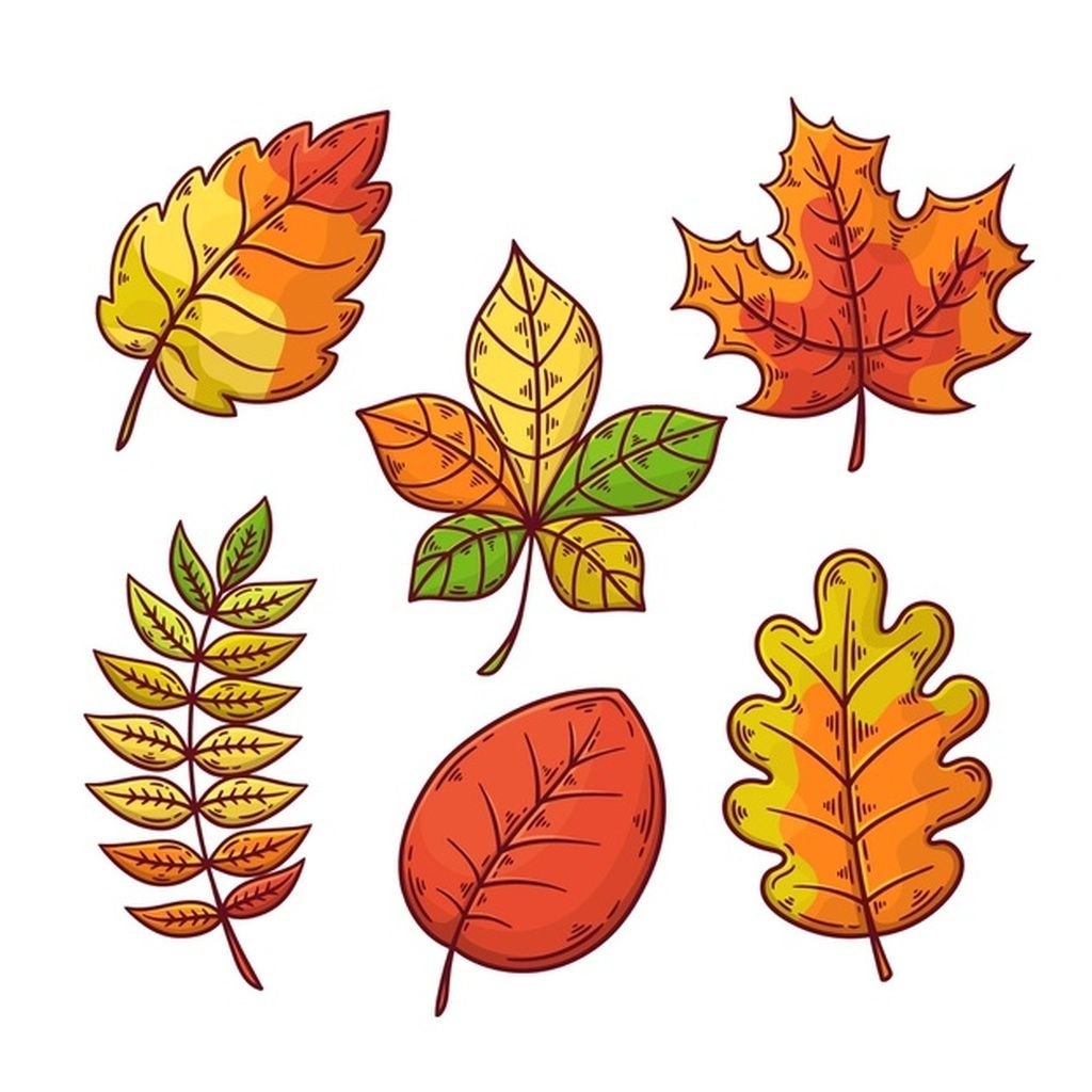 Осенние листья рисунок раскраска (48 фото)