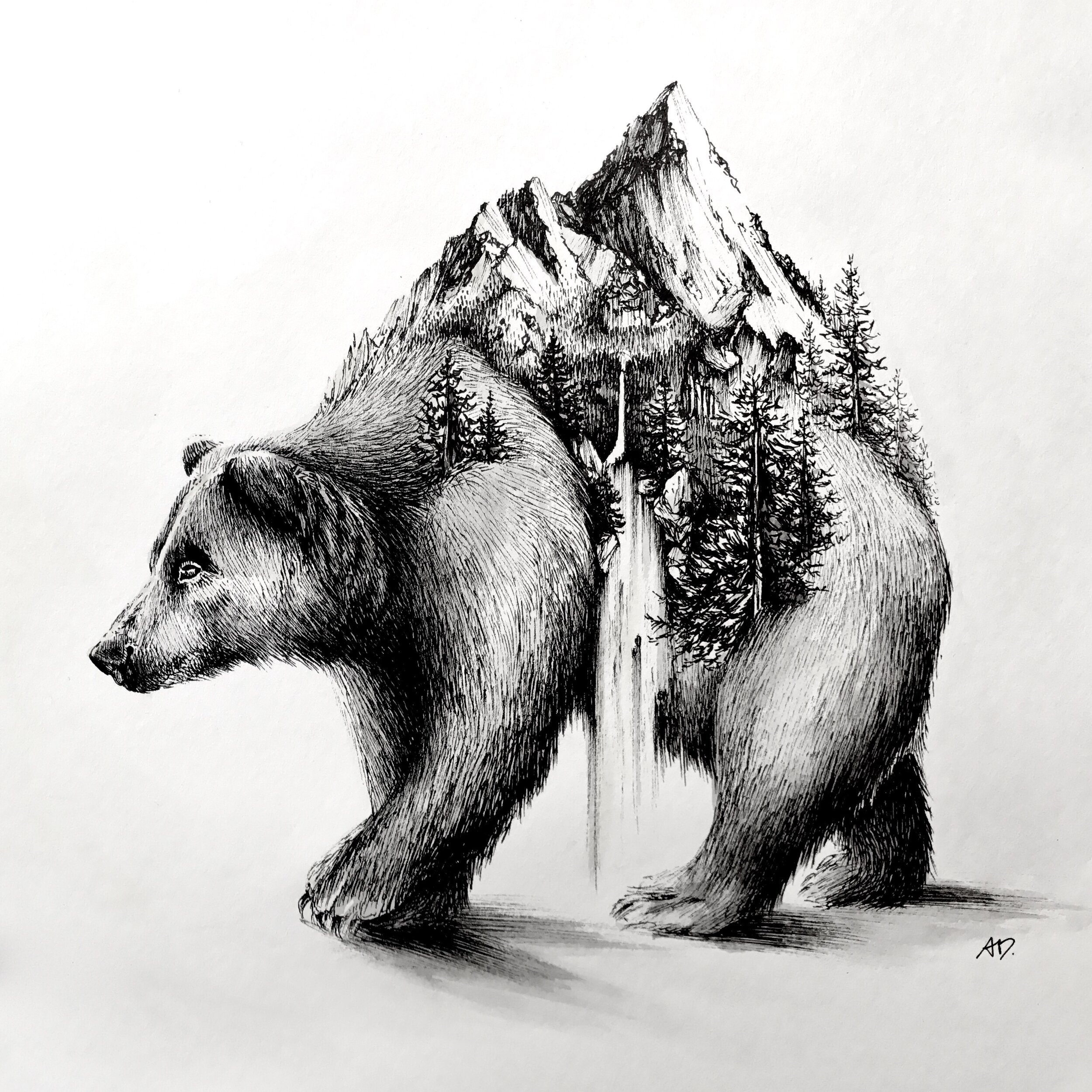 медведь в лесу рисунок карандашом