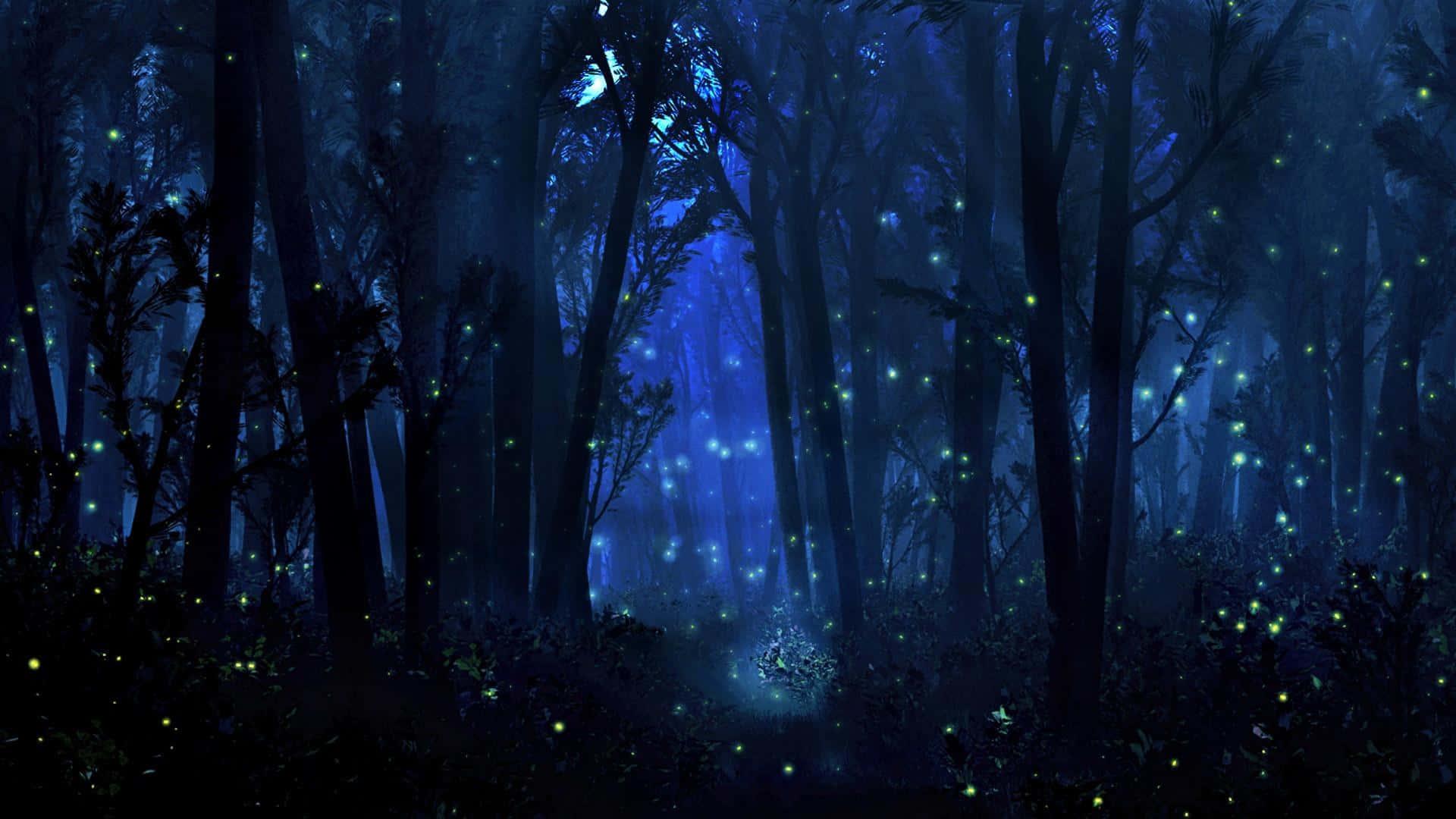 Ночной лес - 68 фото