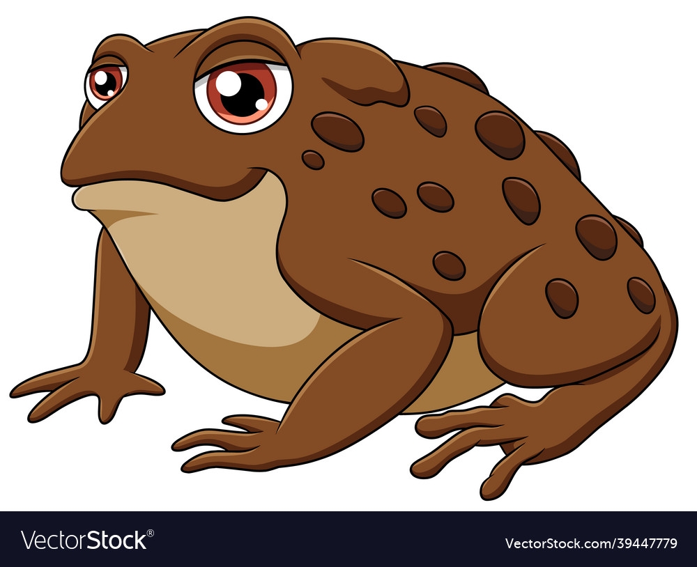 жаба коричневая арт