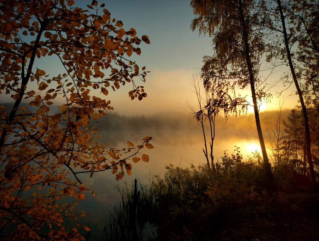 Осенний рассвет в лесу - 50 фото