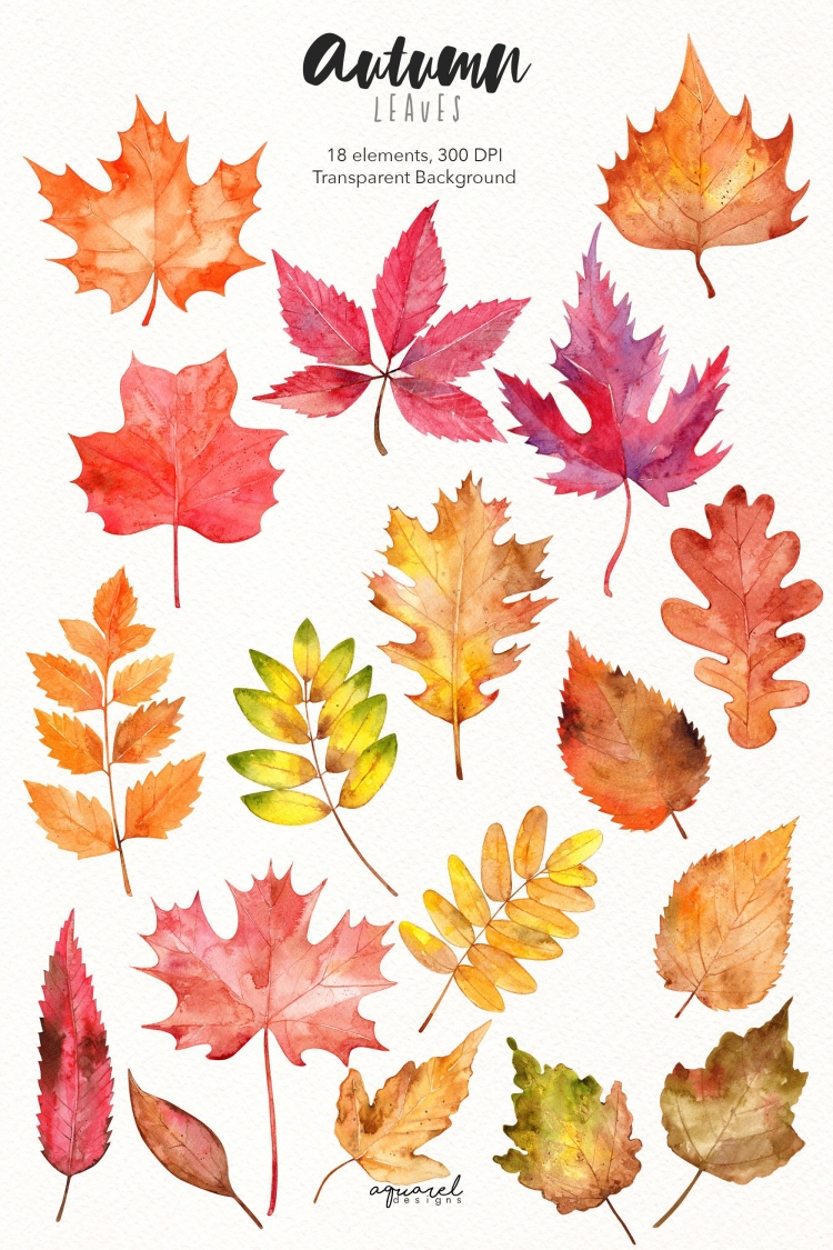 Листья клена осенью шаблоны