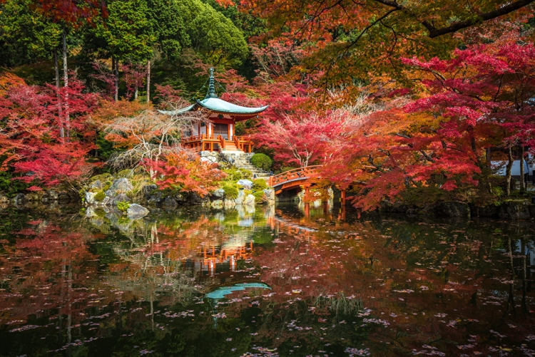 Осенний японский парк