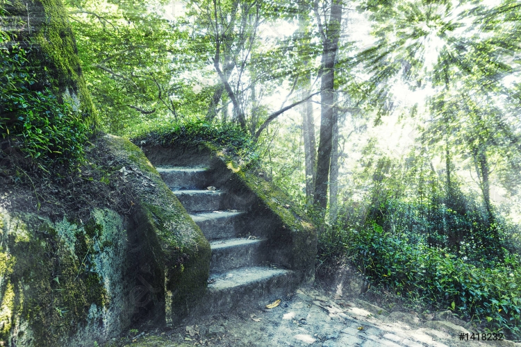Загадочная лестница в лесу