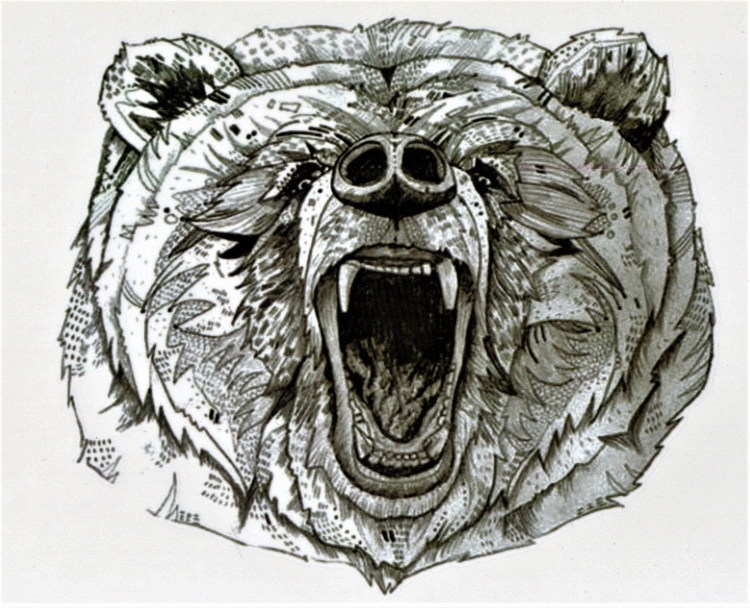Кто Выбирает Тату «Медведь» (Голова Медведя) и Что Значит Этот Рисунок
