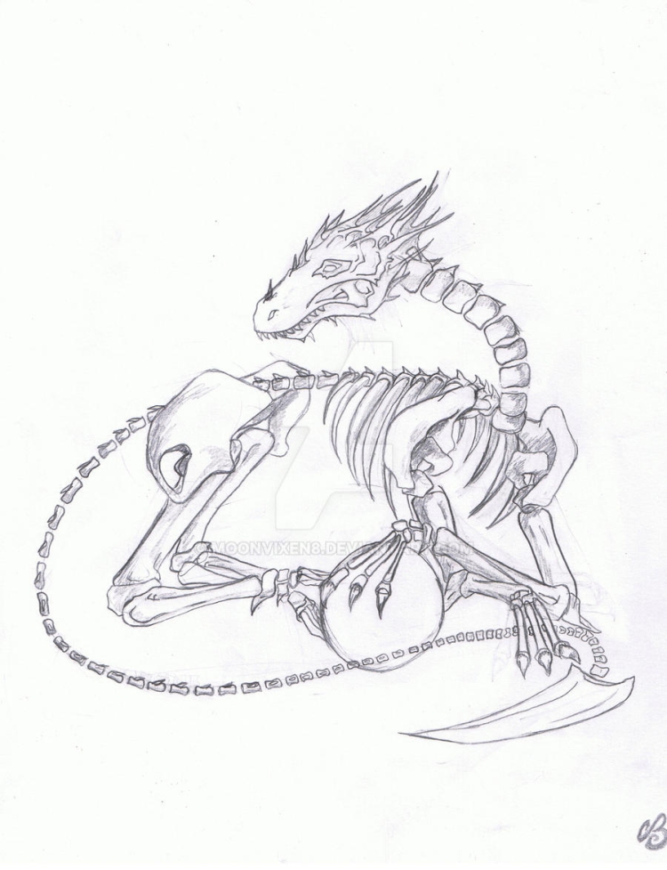 Скелет дракона рисунок