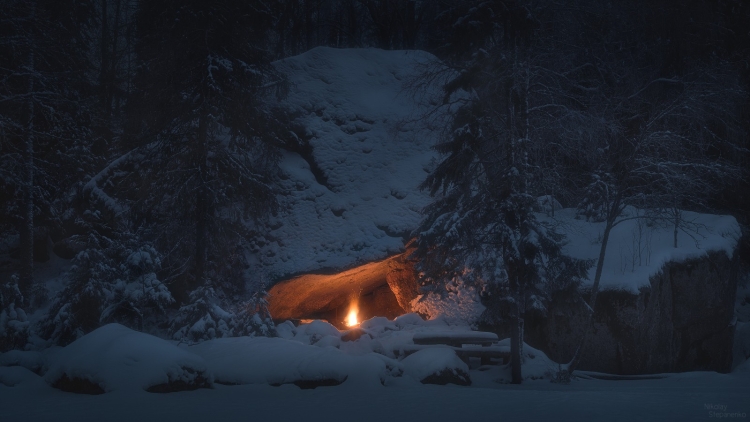 Костер в лесу ночью зимой