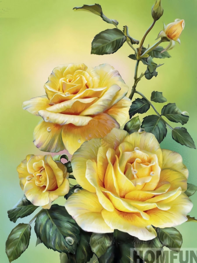 Желтые розы рисунок