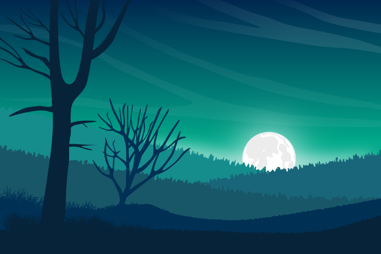 Ночь луна лес