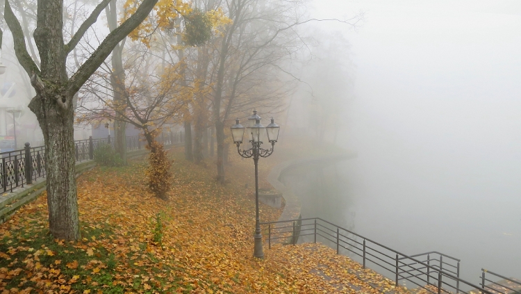 Осенний туманный парк