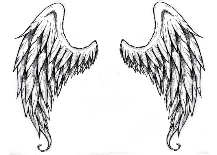 Ангельское крыло рисунок