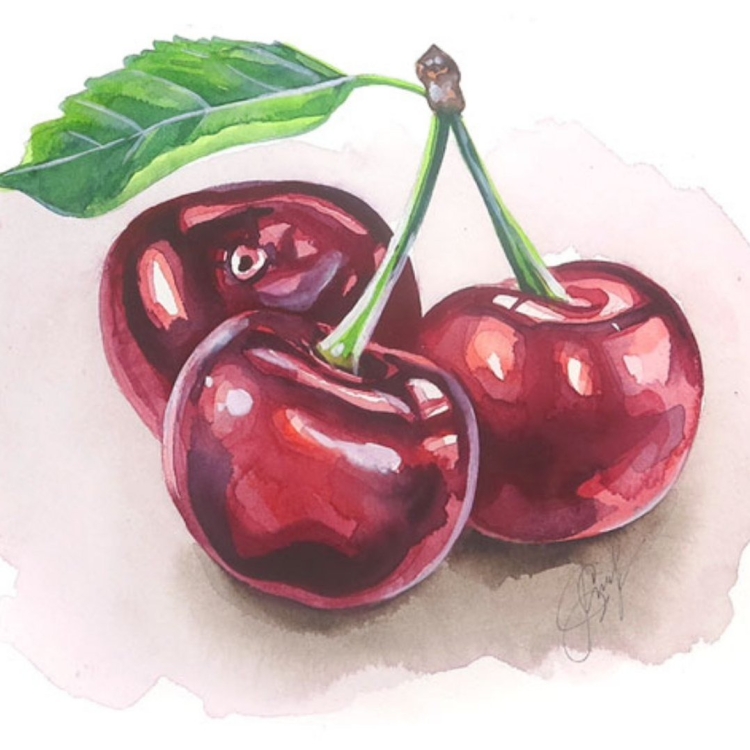 Рисунок ягоды вишни