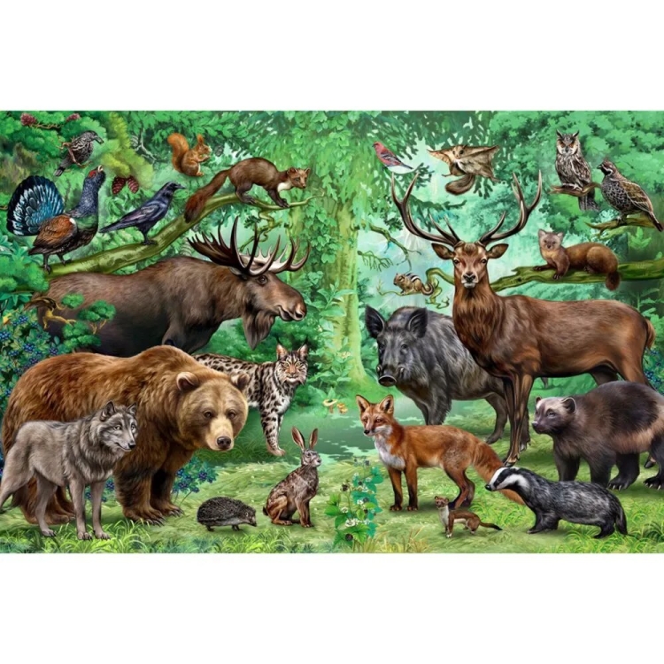 Животные хвойного леса