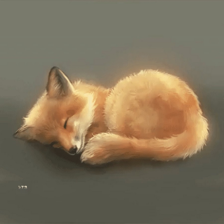 Спящая лисичка рисунок
