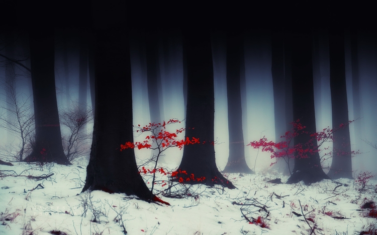 Японский темный лес