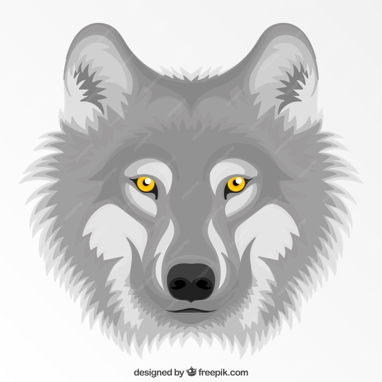 Мордочка волка рисунок