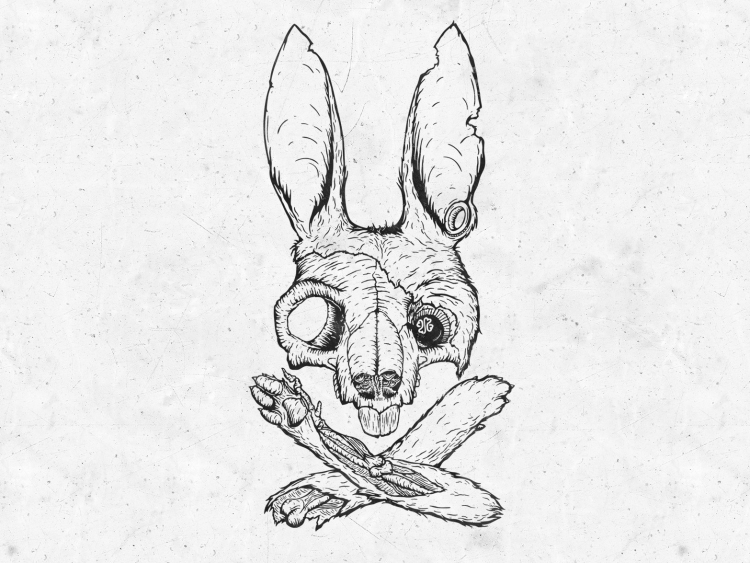 Череп зайца рисунок