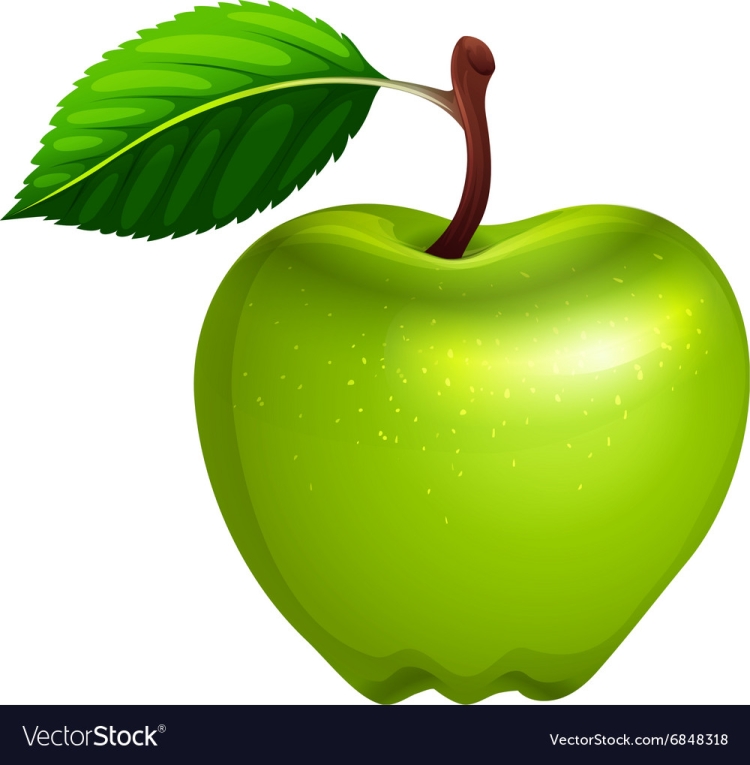 Яблочный лист рисунок