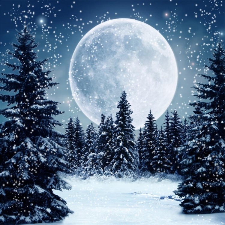Луна в зимнем лесу