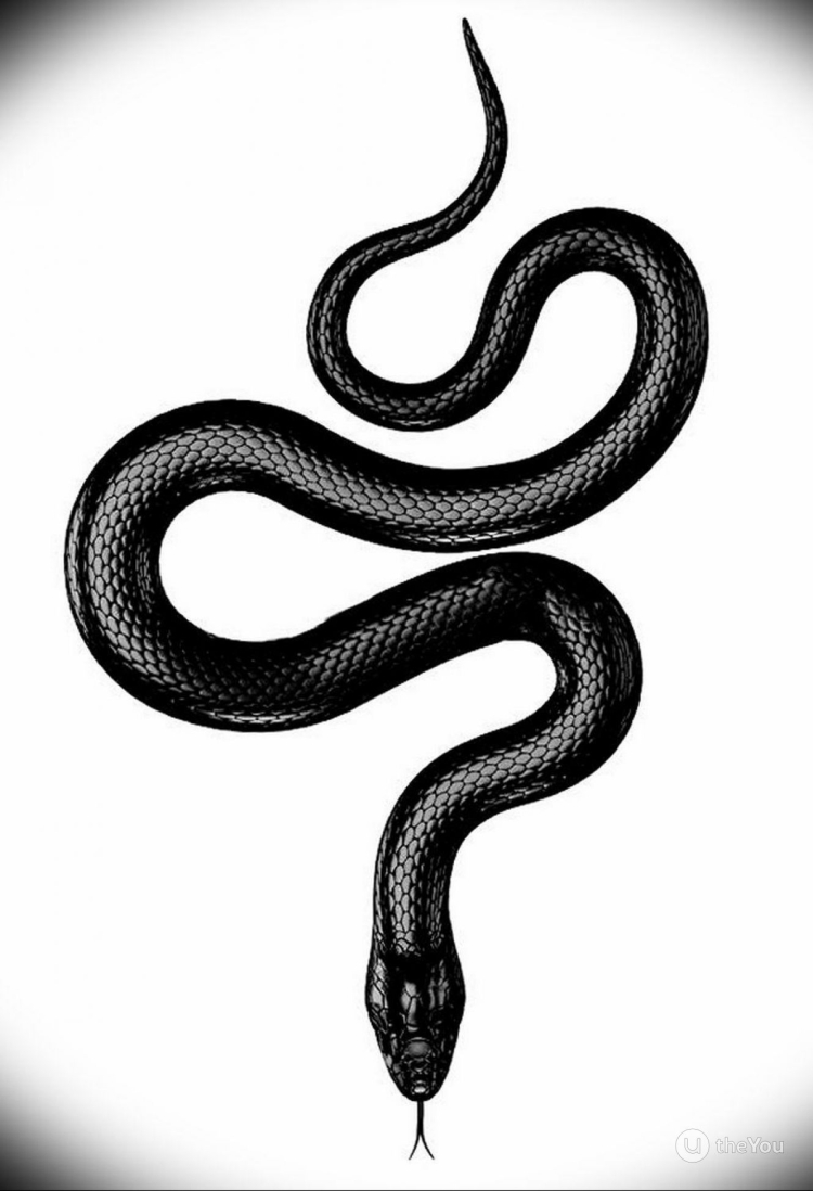 Черная змея в лесу