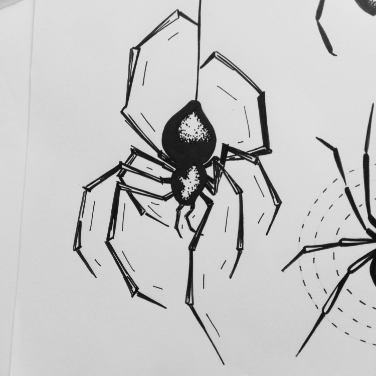 Красивый рисунок паука