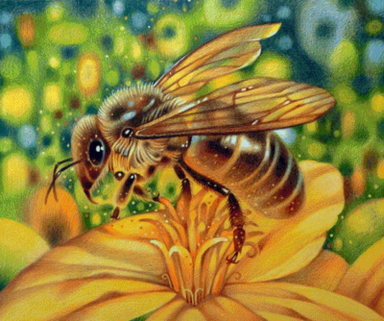 Красивый рисунок пчелы